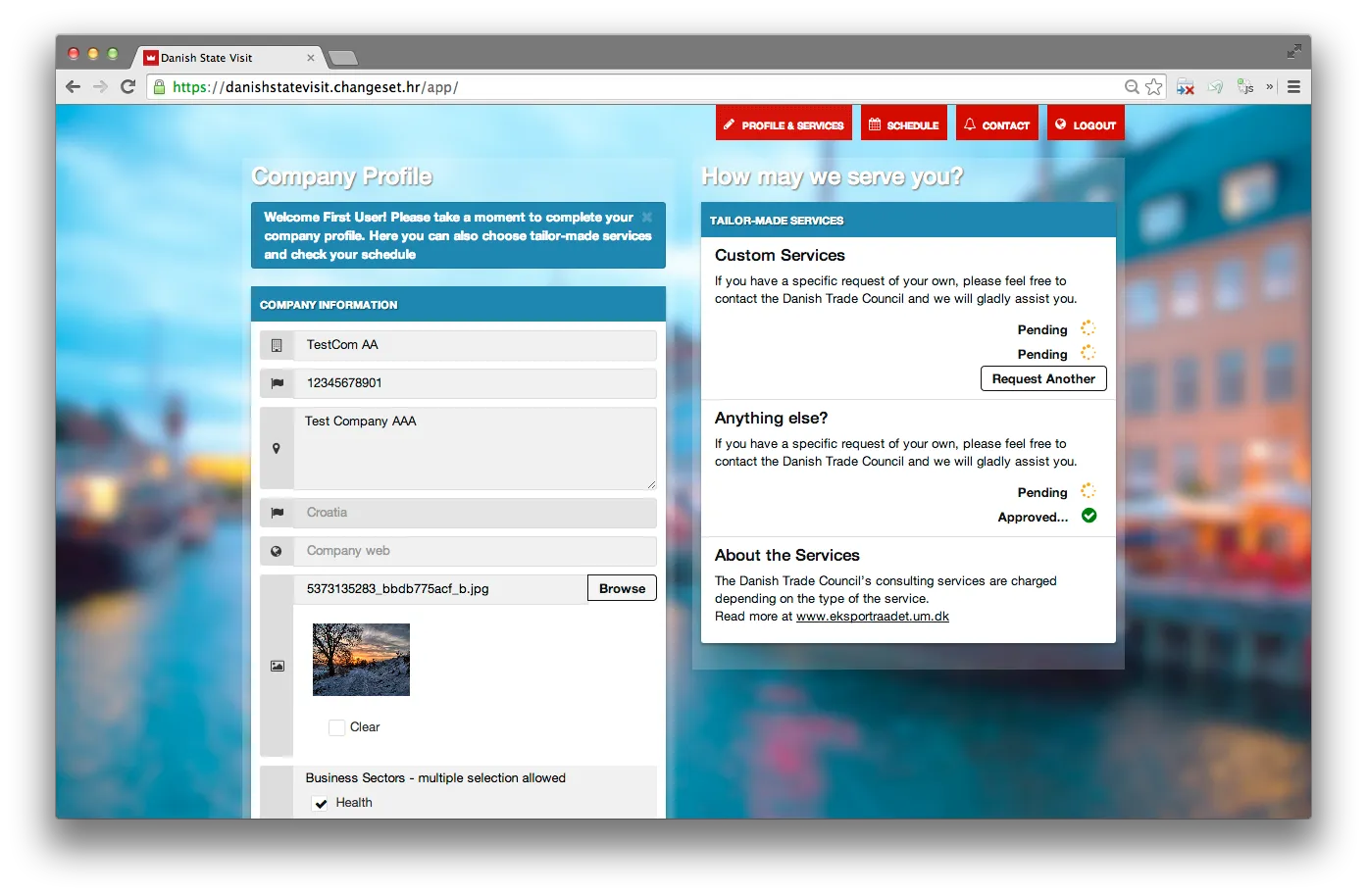 Company profile editor — users complete company info, select business sectors, and see a live panel of custom services they've requested with their statuses