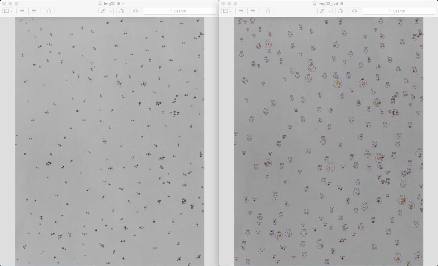 TEM image before and after analysis — clusters circled and labelled with shape classifications