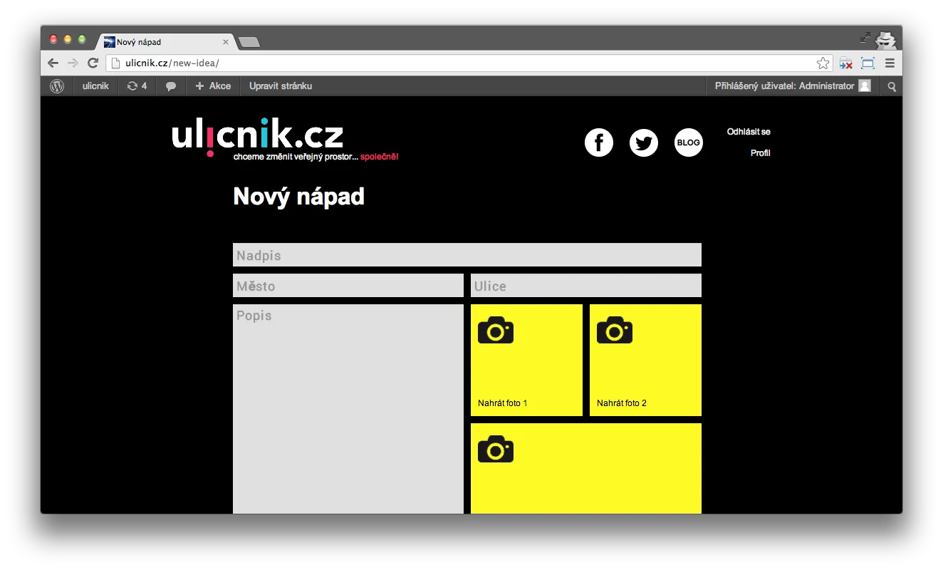 New idea form — posted from the frontend, no wp-admin